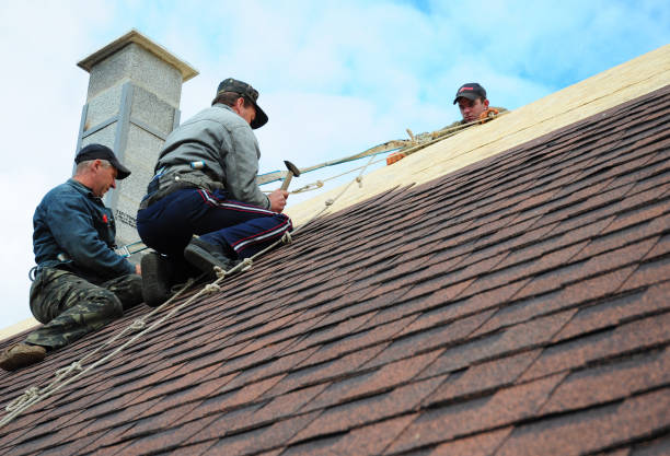 Gutter Installation and Roofing in Mangonia Park, FL
